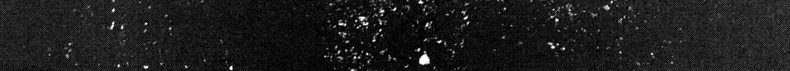 Read Kizu Darake no Jinsei chapter 87 image 19 on Lezhin