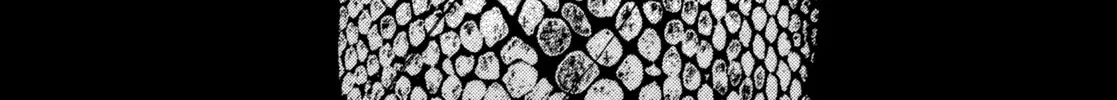 Read Kizu Darake no Jinsei chapter 89 image 11 on Lezhin