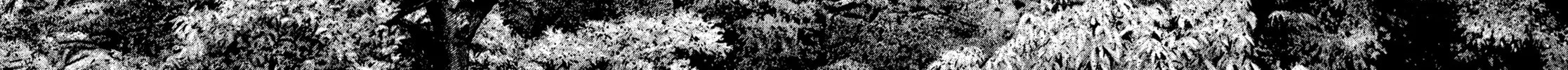 Read Kizu Darake no Jinsei chapter 89 image 19 on Lezhin