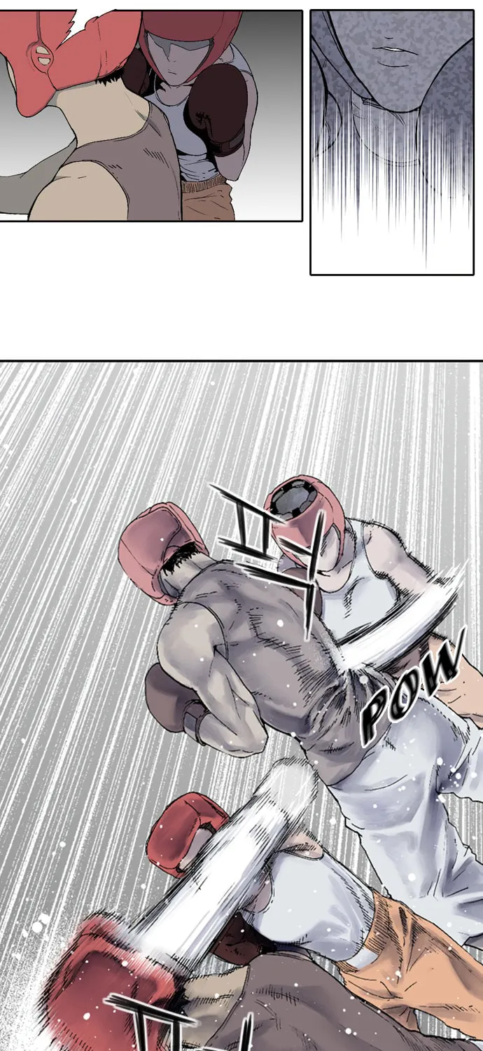 Read Knuckle Girl chapter 1 image 14 on Lezhin