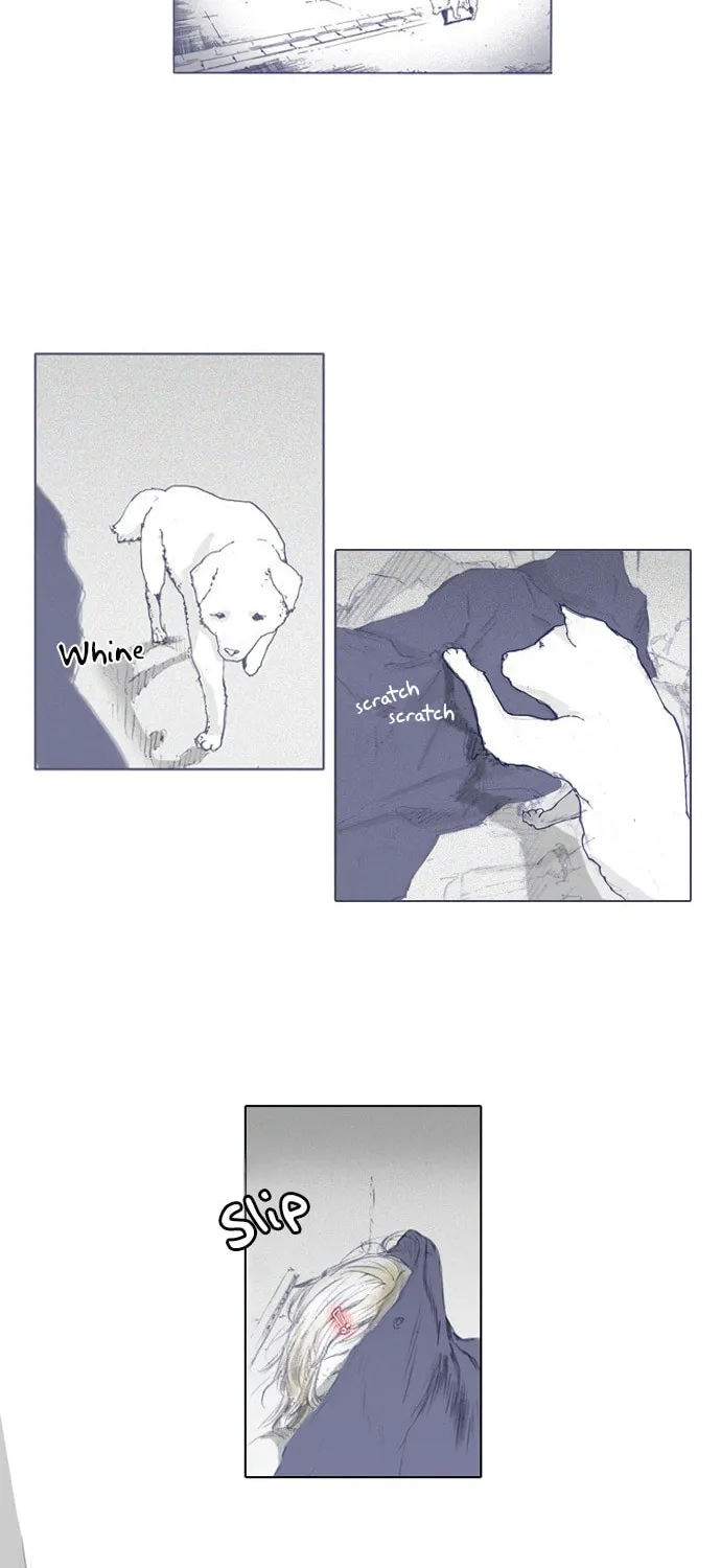 Read Knuckle Girl chapter 1 image 2 on Lezhin