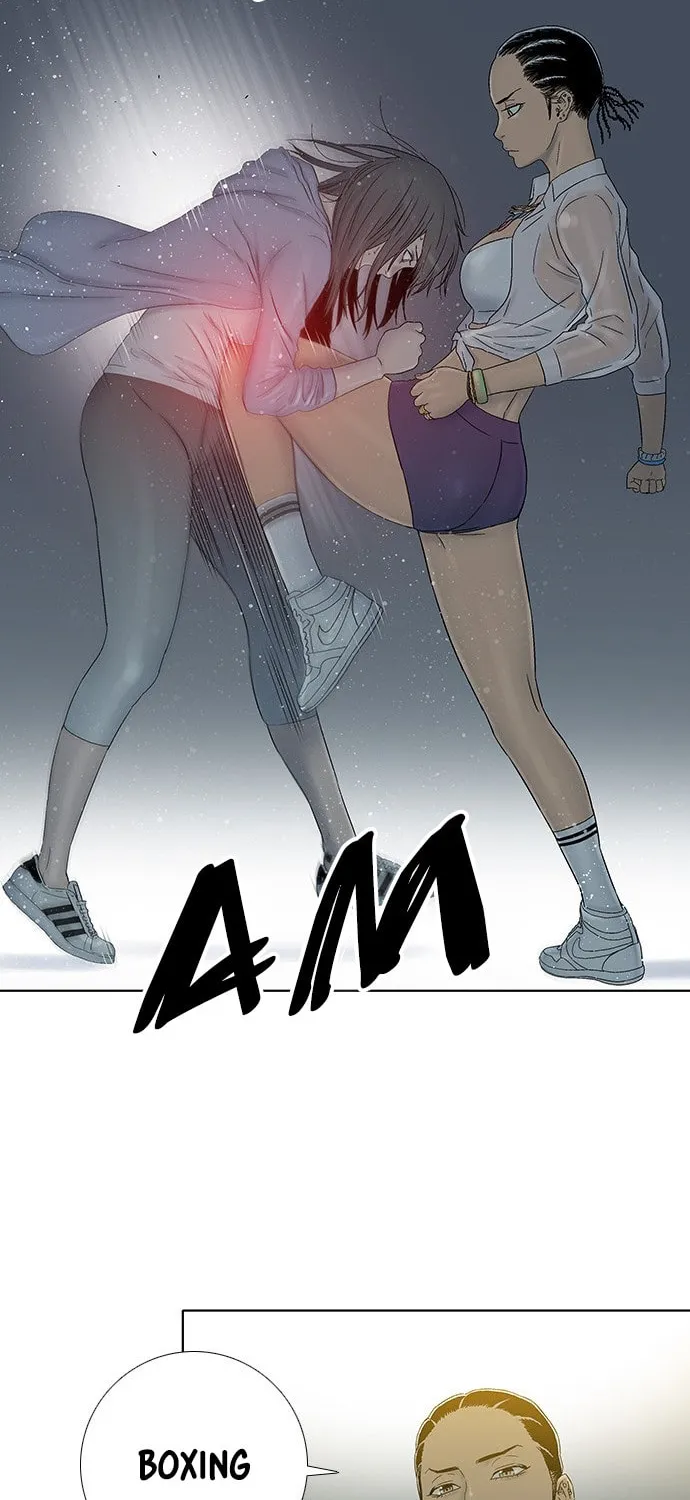 Read Knuckle Girl chapter 36 image 14 on Lezhin