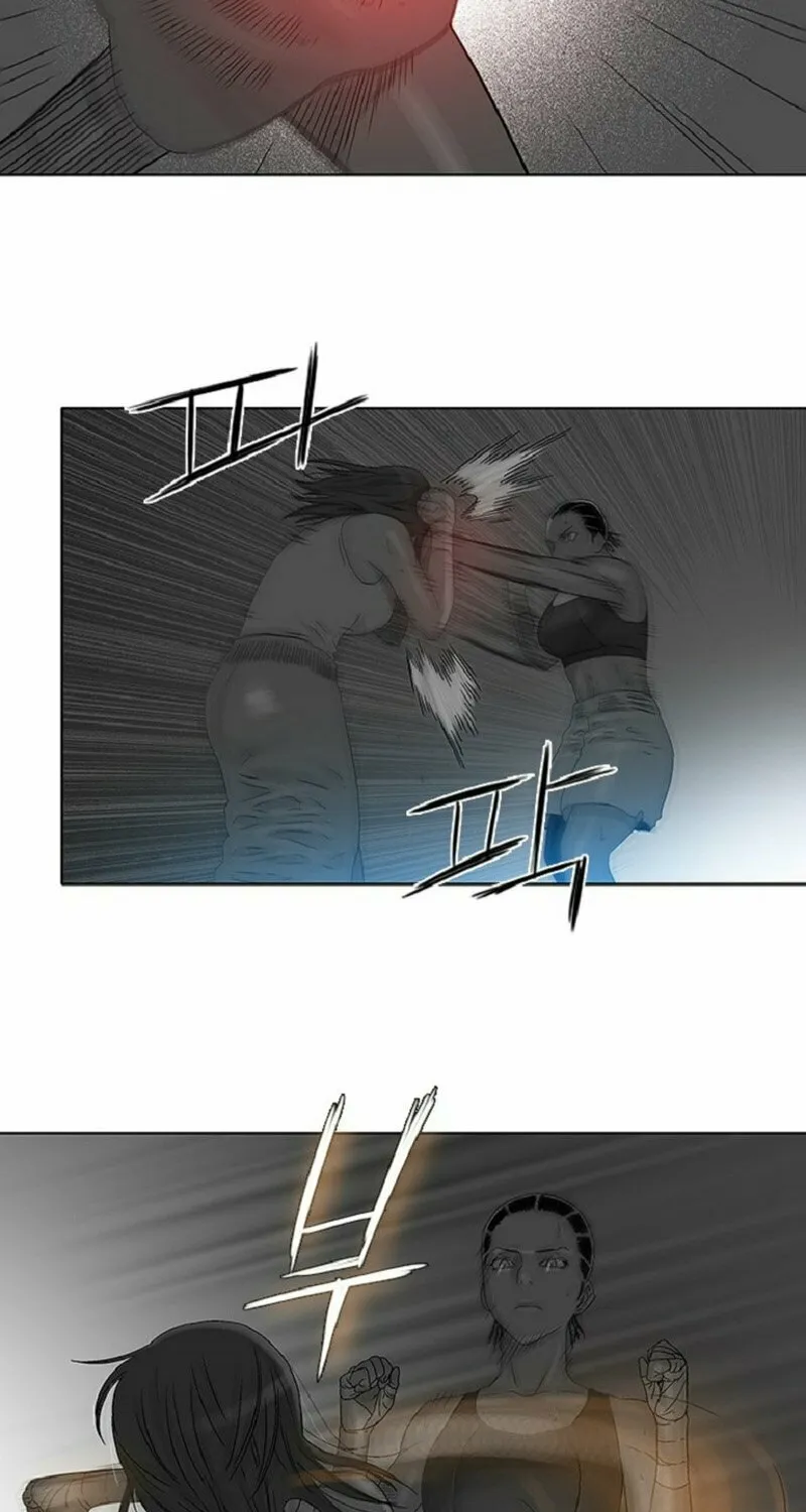 Read Knuckle Girl chapter 55 image 19 on Lezhin