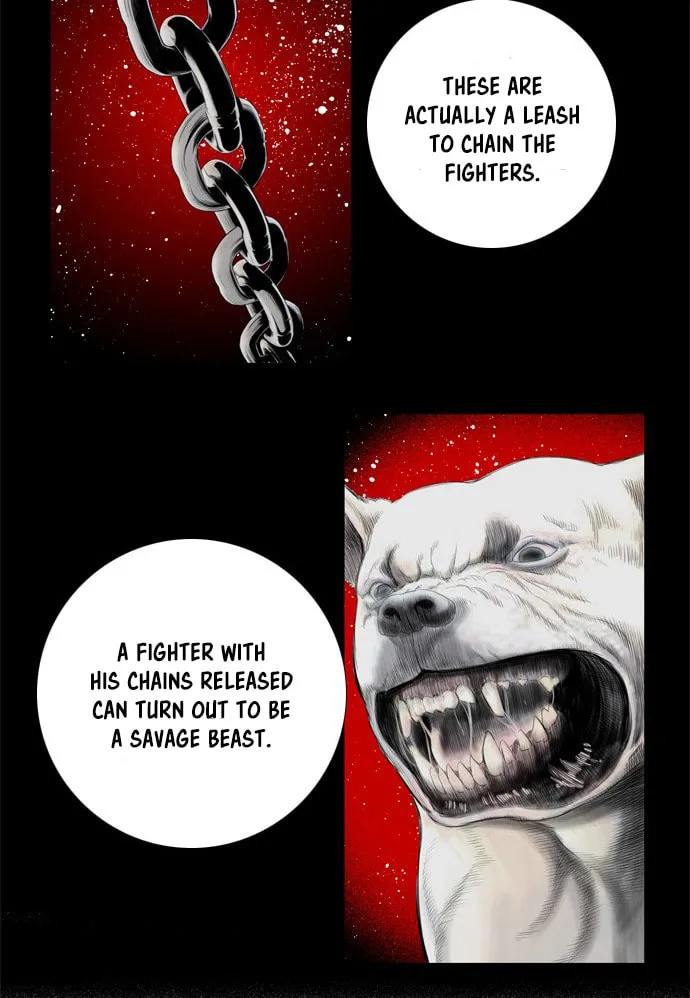 Read Knuckle Girl chapter 8 image 23 on Lezhin