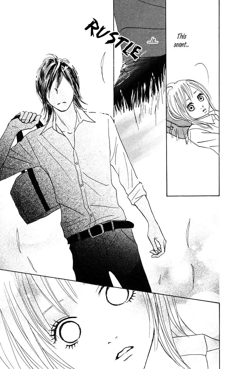 Read Koizora: Setsunai Koimonogatari chapter 10 image 33 on Lezhin