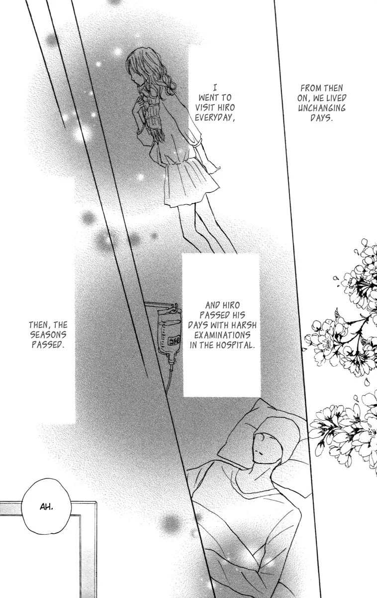Read Koizora: Setsunai Koimonogatari chapter 26 image 19 on Lezhin