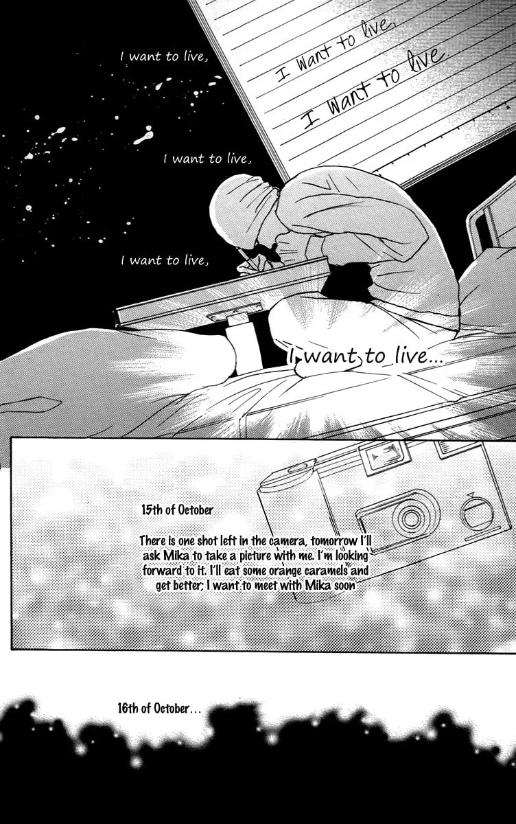 Read Koizora: Setsunai Koimonogatari chapter 29 image 27 on Lezhin