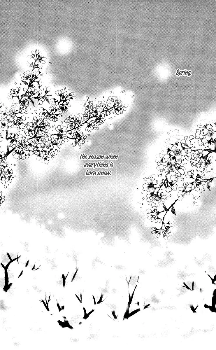 Read Koizora: Setsunai Koimonogatari chapter 8 image 3 on Lezhin