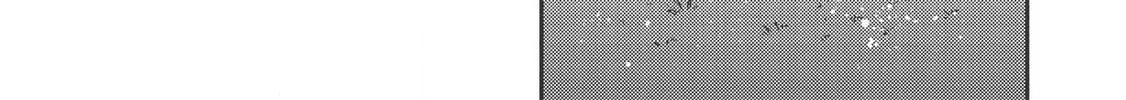 Read Kojiin Tamer chapter 10.2 image 12 on Lezhin