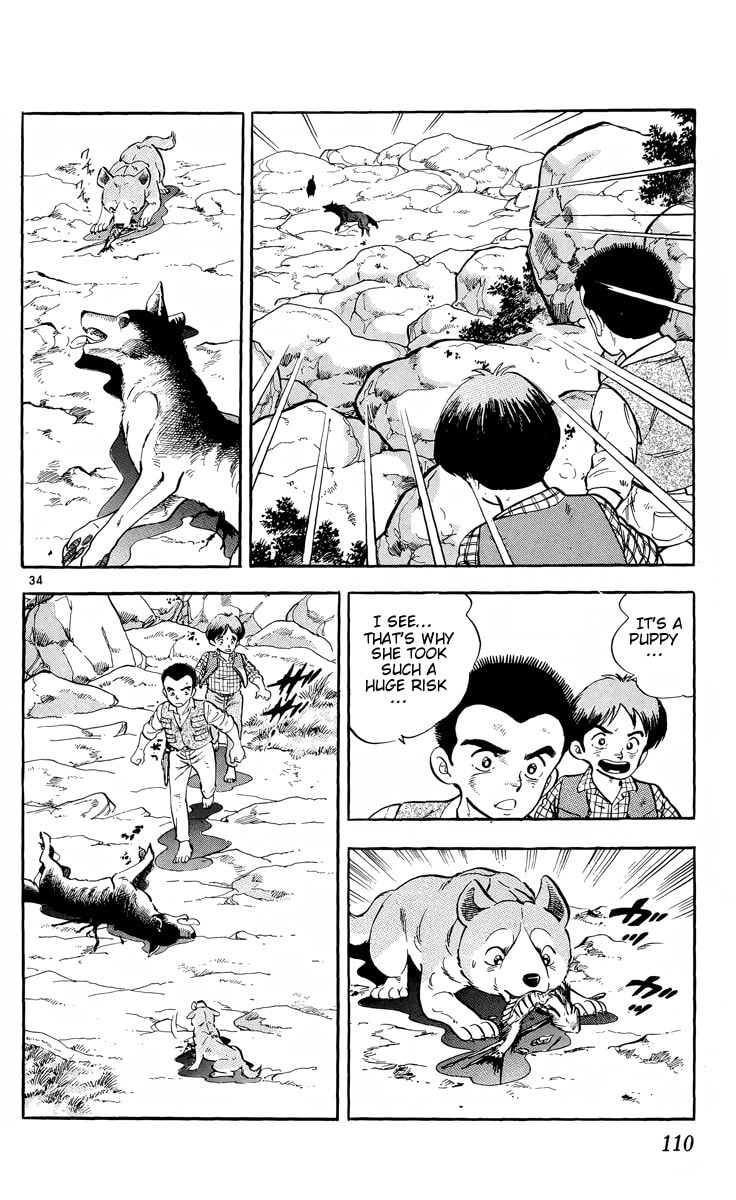Read Kotou no Boukensha chapter 3 image 33 on Lezhin