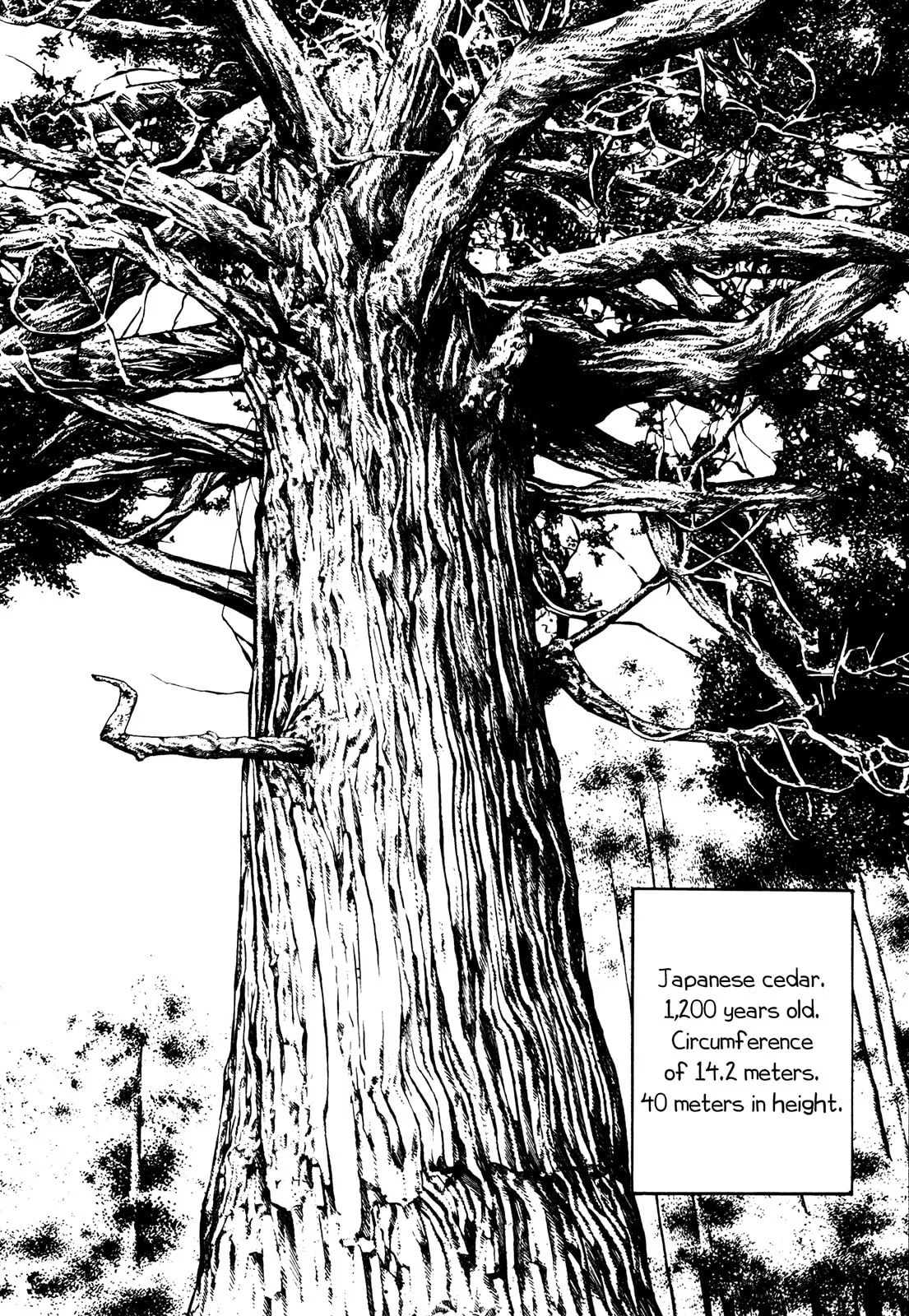 Read Koukou Tekken-den Tough chapter 232 image 1 on Lezhin