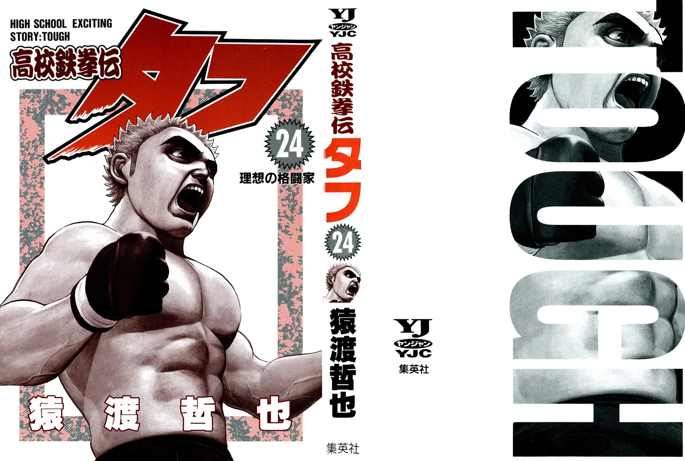 Read Koukou Tekken-den Tough chapter 248 image 1 on Lezhin