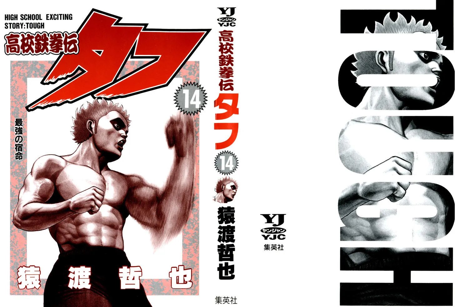 Read Koukou Tekkenden Tough chapter 136 image 1 on Lezhin