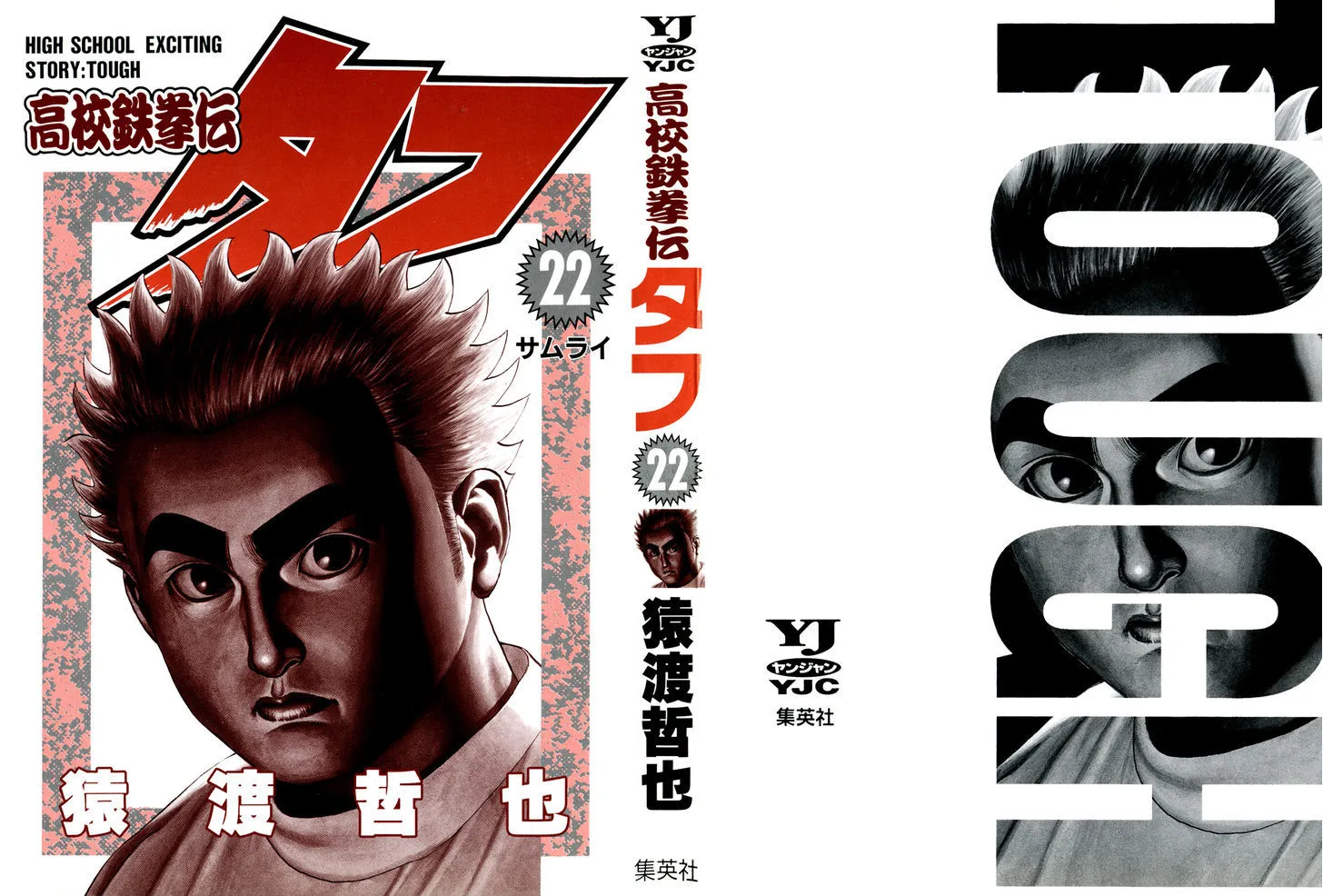 Read Koukou Tekkenden Tough chapter 225 image 1 on Lezhin