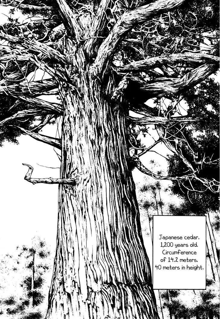 Read Koukou Tekkenden Tough chapter 232 image 1 on Lezhin