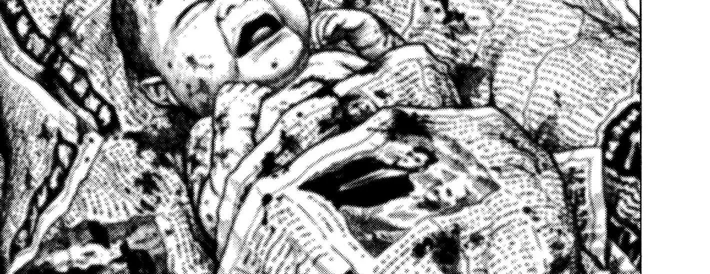 Read Koukou Tekkenden Tough chapter 306 image 23 on Lezhin