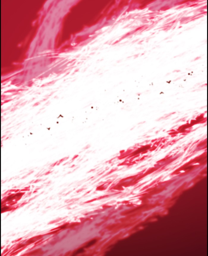 Read Kubera chapter 176.6 image 9 on Lezhin