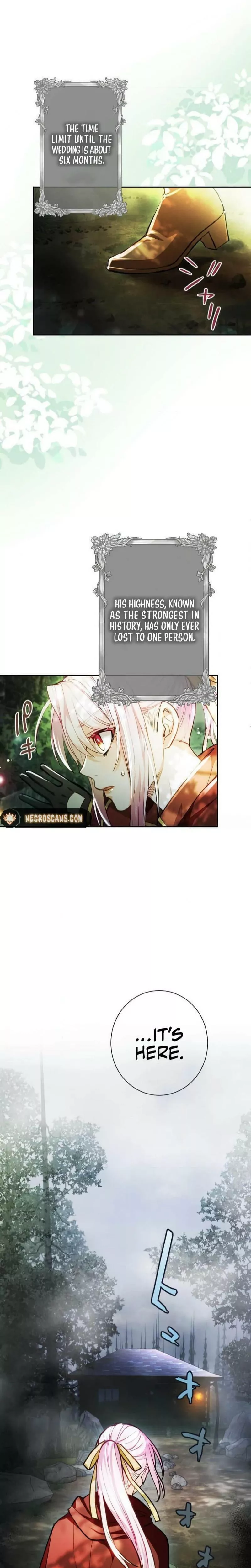 Read Kunshu-sama ni Muneyake chapter 8 image 4 on Lezhin