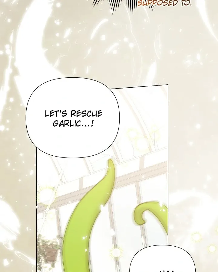 Lady Beast Chapter 142 page 62 - 