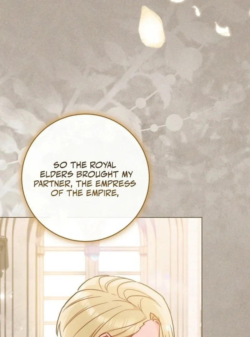 Read Lady Chef Royale chapter 189 image 19 on Lezhin