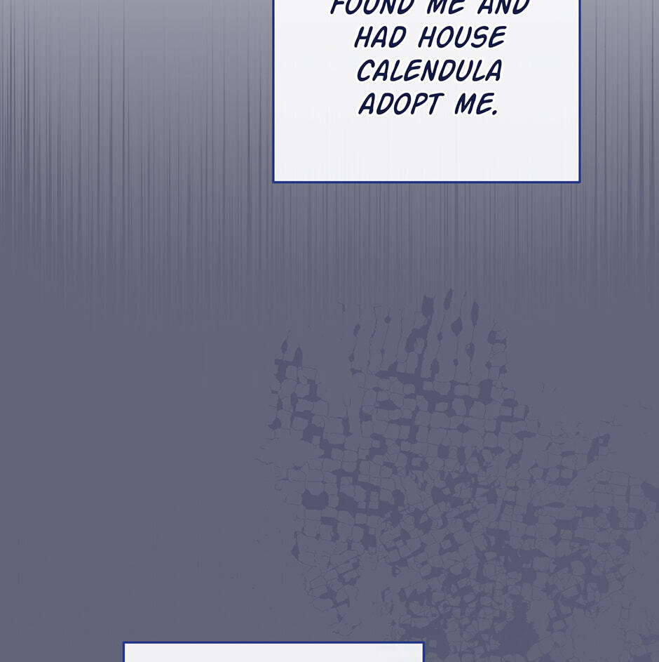 Lady Chef Royale Chapter 157 page 41 - 