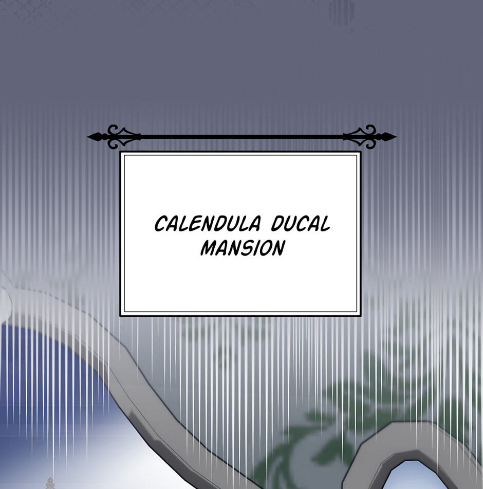 Lady Chef Royale Chapter 157 page 50 - 