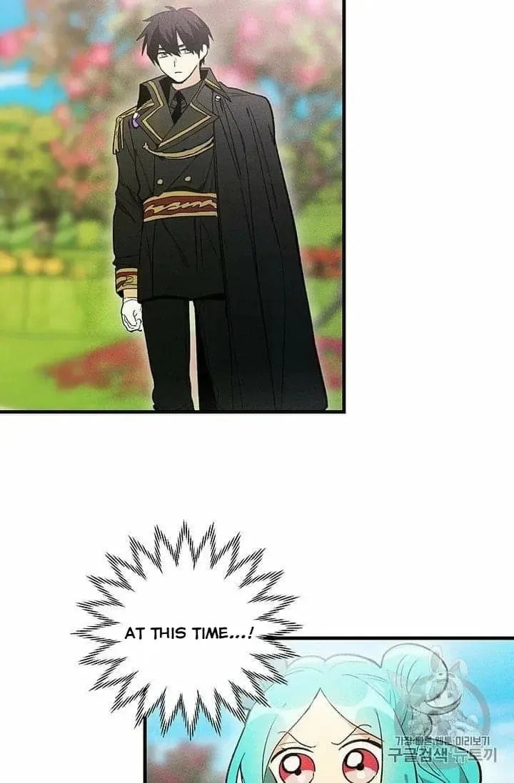 Read Lady Chef Royale chapter 20.5 image 30 on Lezhin