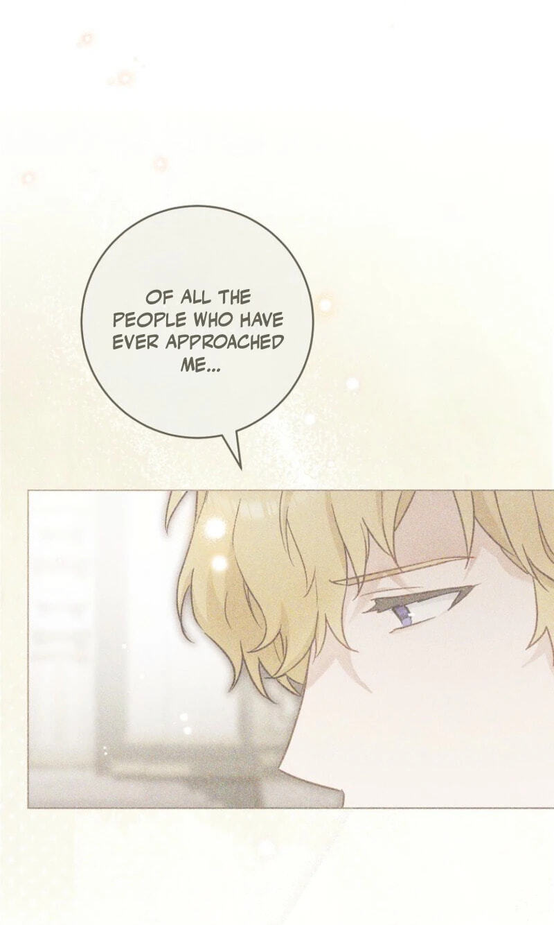 Read Lady Chef Royale chapter 213 image 63 on Lezhin