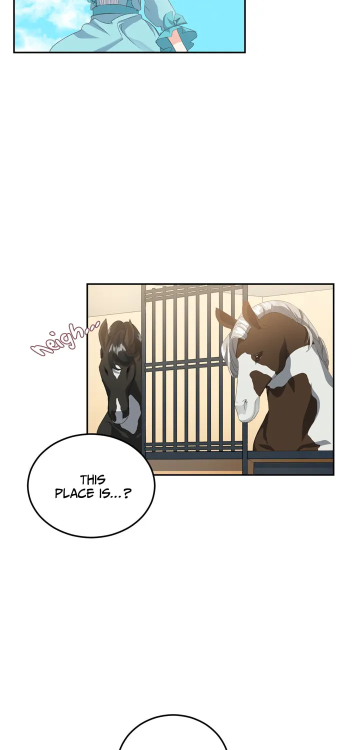 Read Lady Evony chapter 14 image 25 on Lezhin