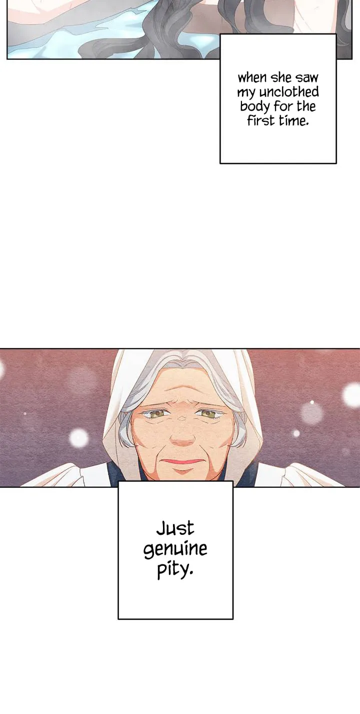 Read Lady Evony chapter 2 image 7 on Lezhin