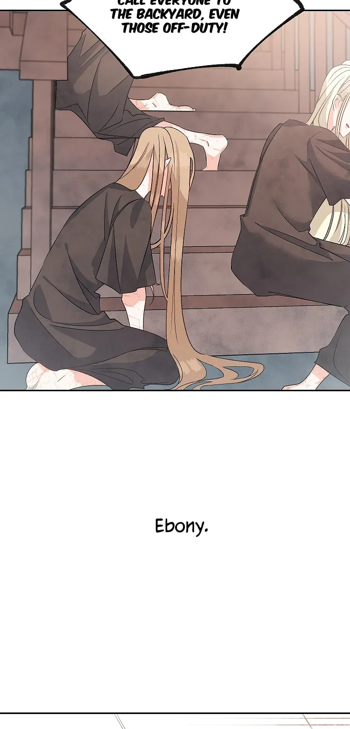 Read Lady Evony chapter 37 image 2 on Lezhin