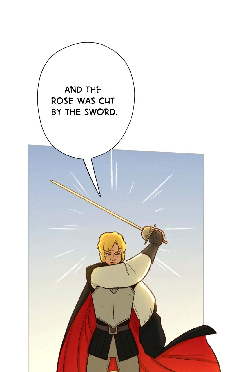 Lady Knights Chapter 33 page 13 - 