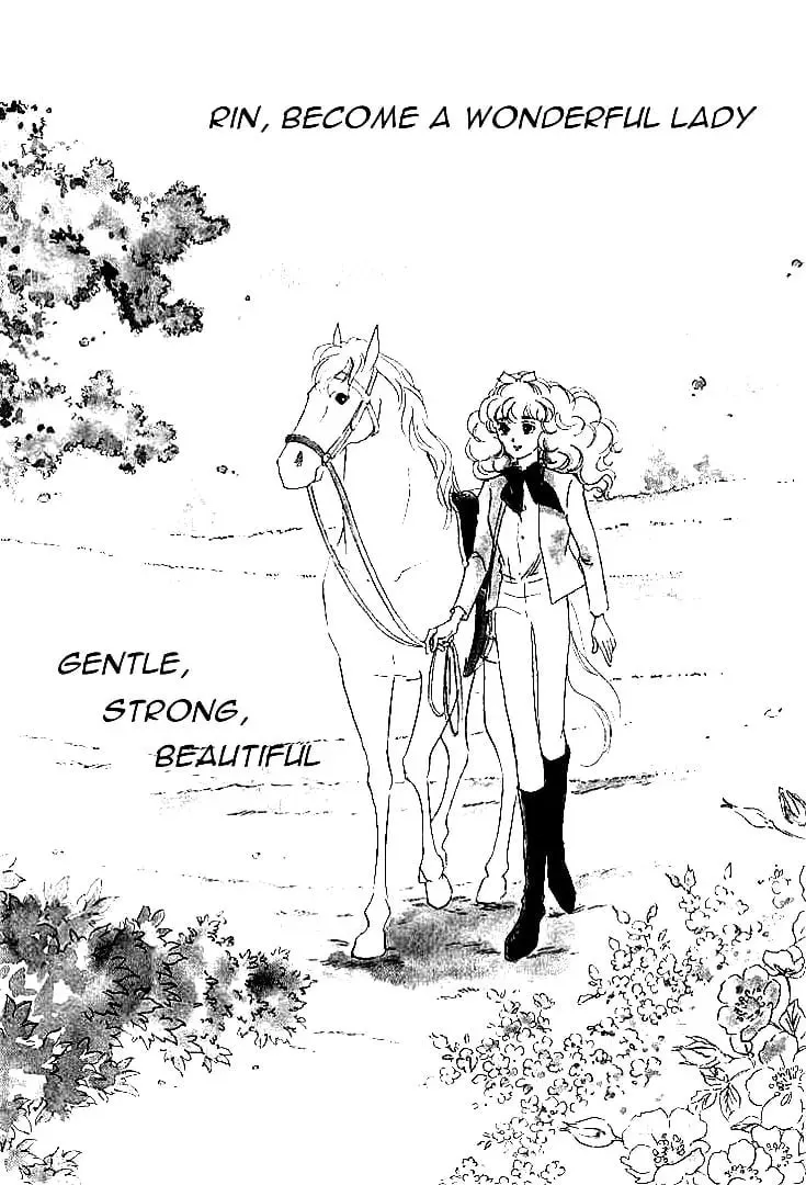 Read Lady Rin! chapter 1 image 7 on Lezhin
