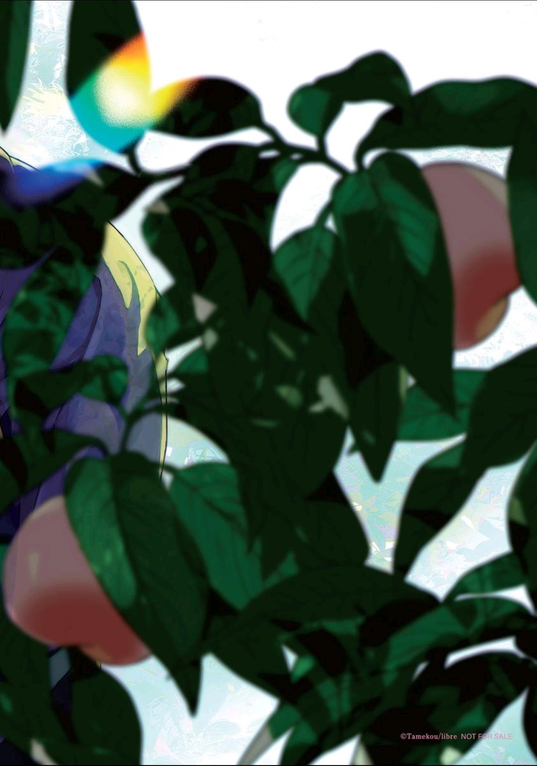 Read Lala no Kekkon chapter 8.1 image 12 on Lezhin