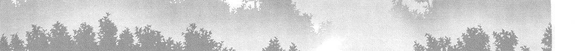 Read Last Game chapter 28 image 13 on Lezhin