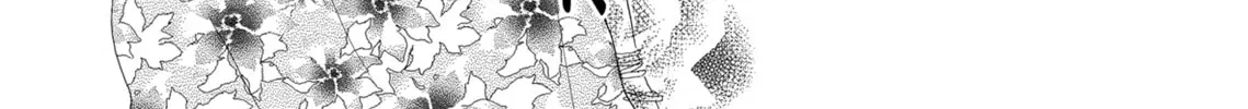 Read Last Game chapter 34 image 31 on Lezhin
