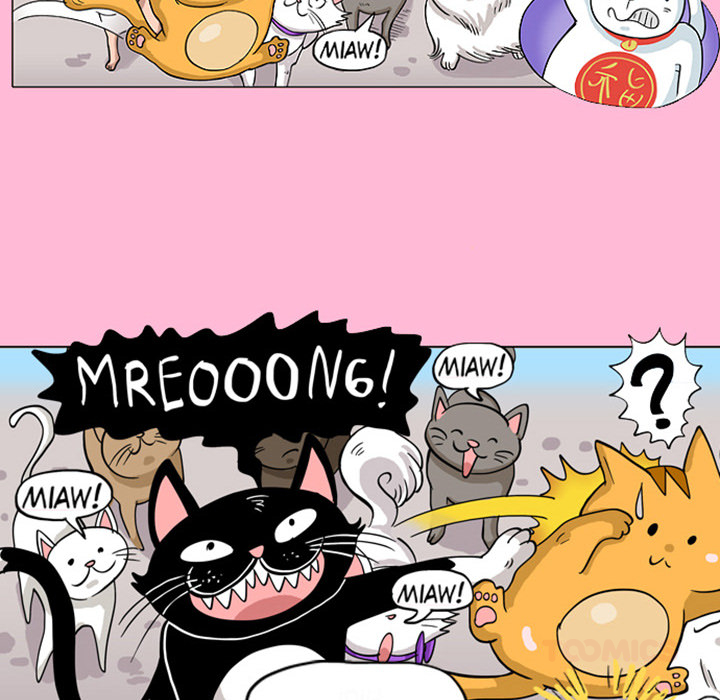 Read Lay Lay Cat chapter 13 image 10 on Lezhin