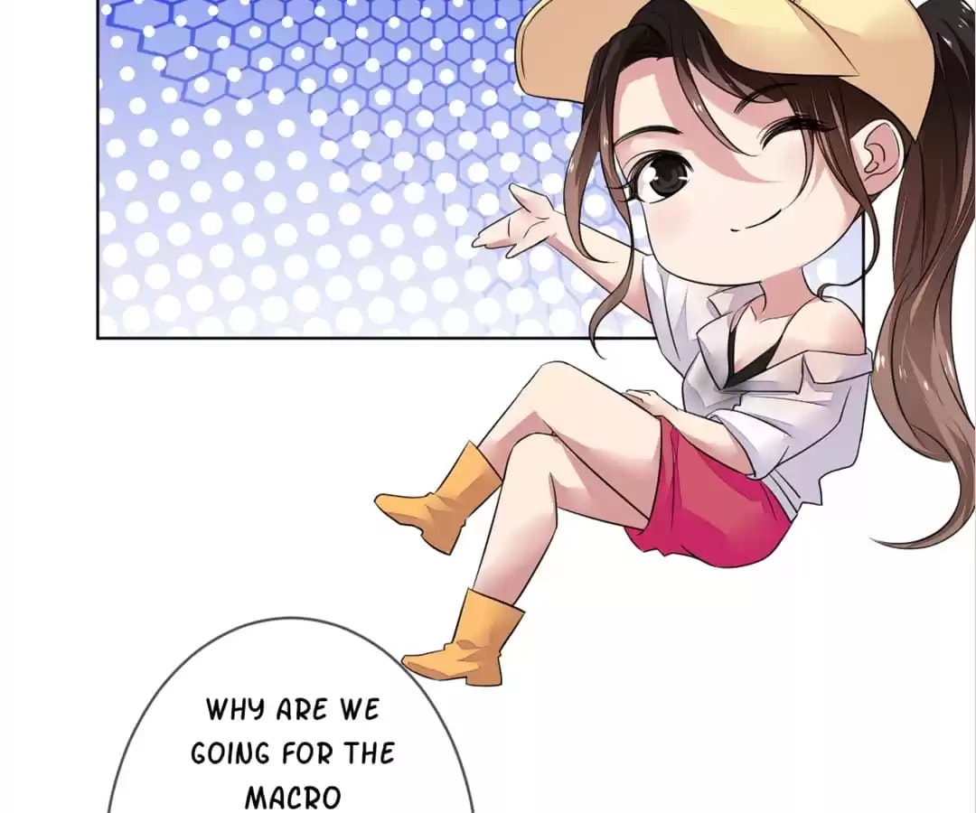 Read Legend Reboot chapter 142 image 39 on Lezhin