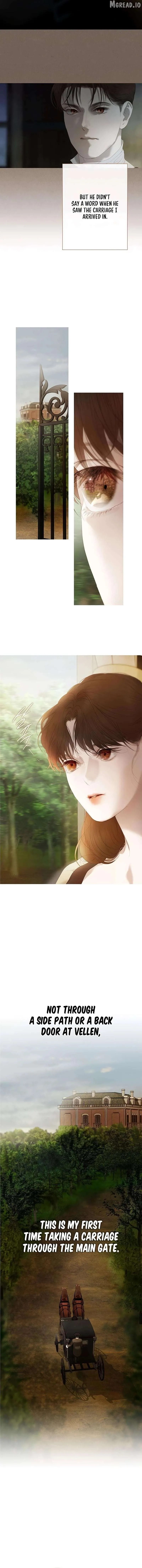 Read Lemon TreeForest chapter 17 image 7 on Lezhin