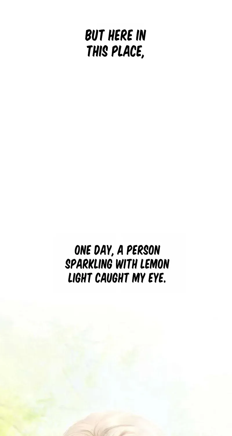 Read Lemon TreeForest chapter 18 image 41 on Lezhin