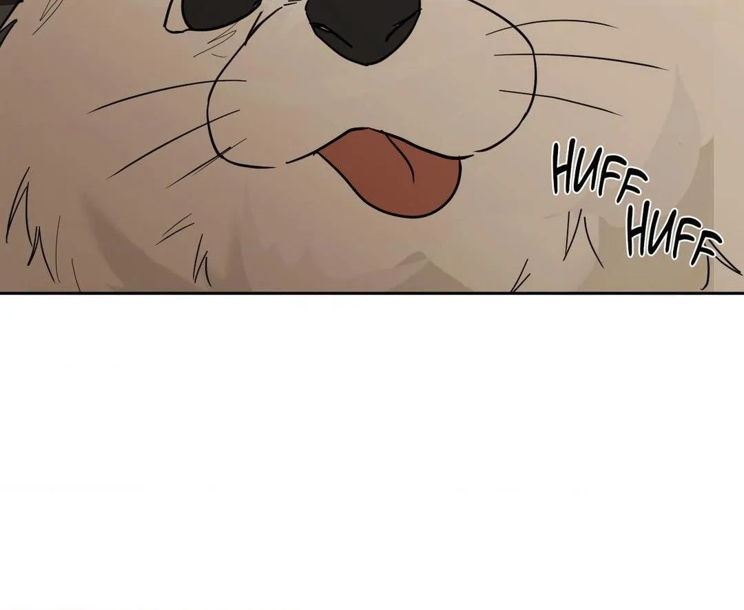 Read Lend Me Some Sugar chapter 77 image 12 on Lezhin