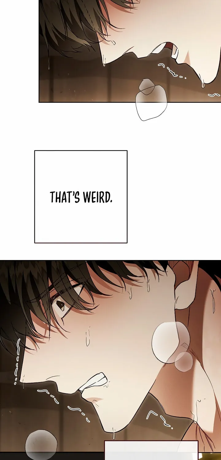 Read Let Me Cry chapter 5 image 46 on Lezhin