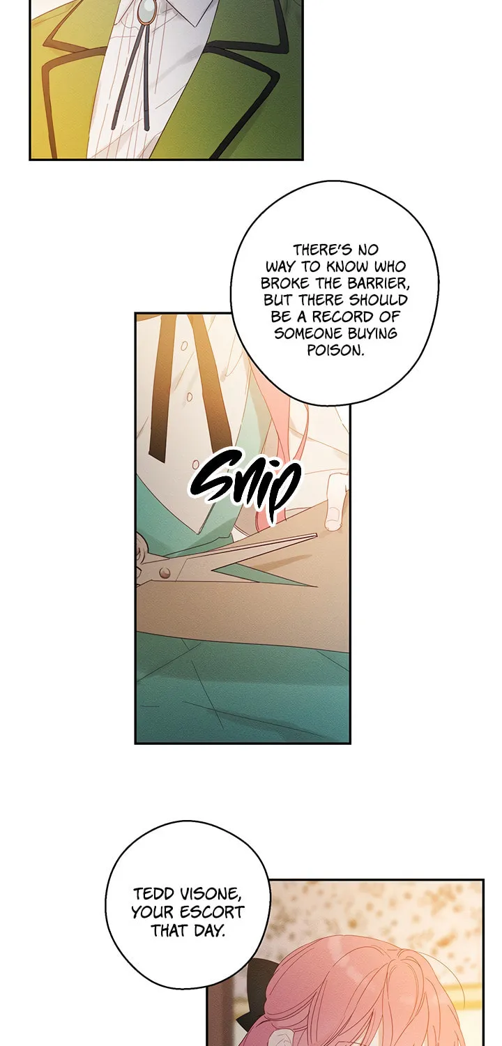 Let's Hide My Little Brother Chapter 12 page 7 - 