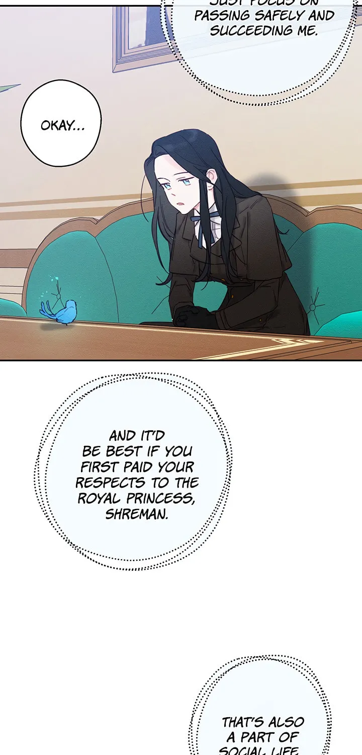 Let's Hide My Little Brother Chapter 21 page 48 - 