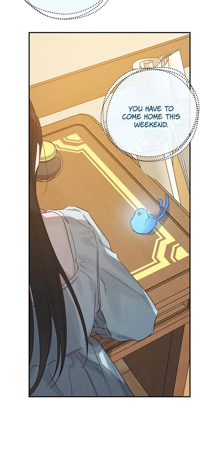 Let's Hide My Little Brother Chapter 36 page 5 - 