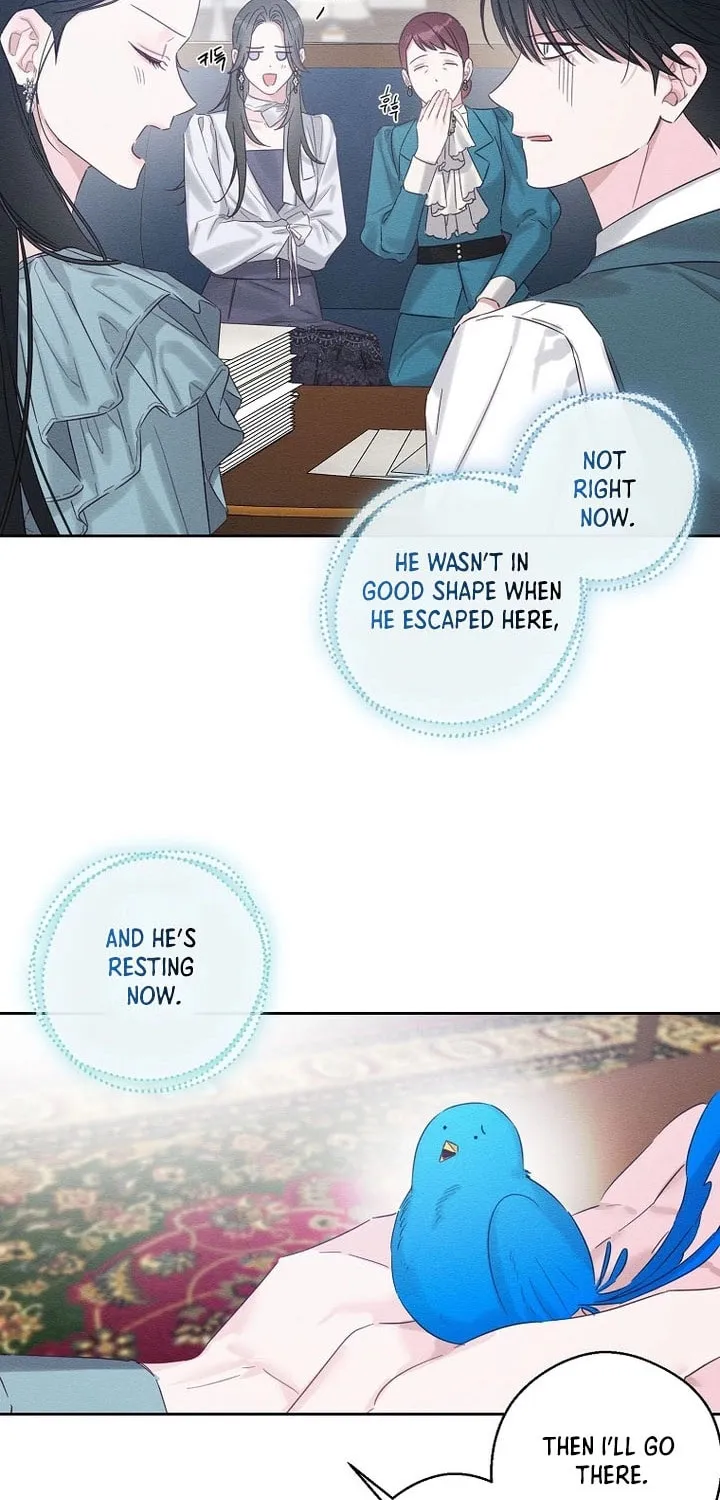 Let's Hide My Little Brother Chapter 97 page 45 - 