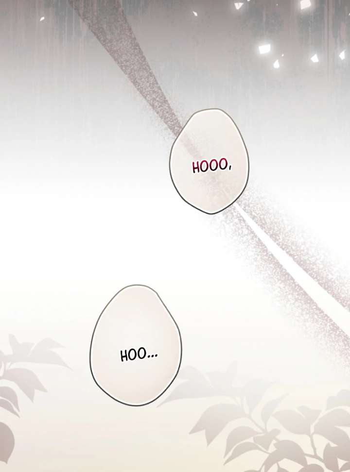 Read Let’s Divorce, Not Obsess! chapter 13 image 129 on Lezhin
