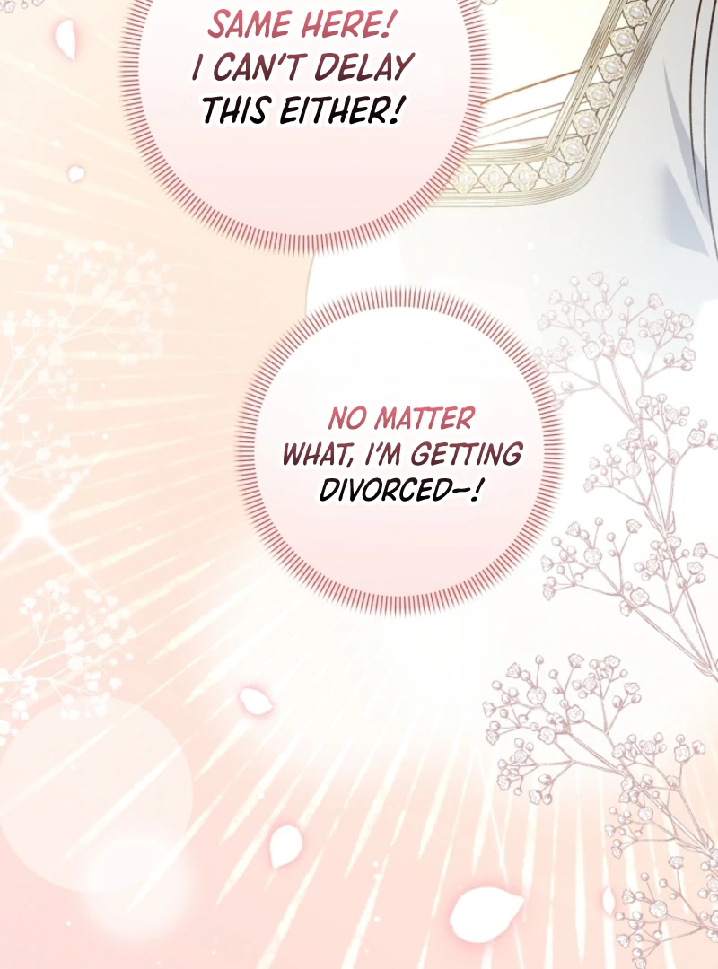 Read Let’s Divorce, Not Obsess! chapter 15 image 94 on Lezhin