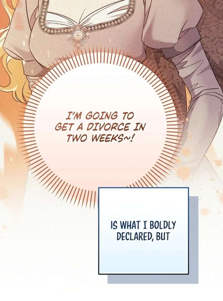 Read Let’s Divorce, Not Obsess! chapter 16 image 1 on Lezhin