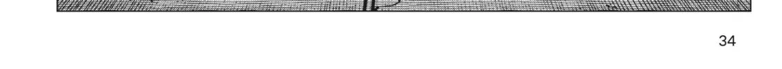 Read Leviathan (KUROI Shiro) chapter 6 image 67 on Lezhin